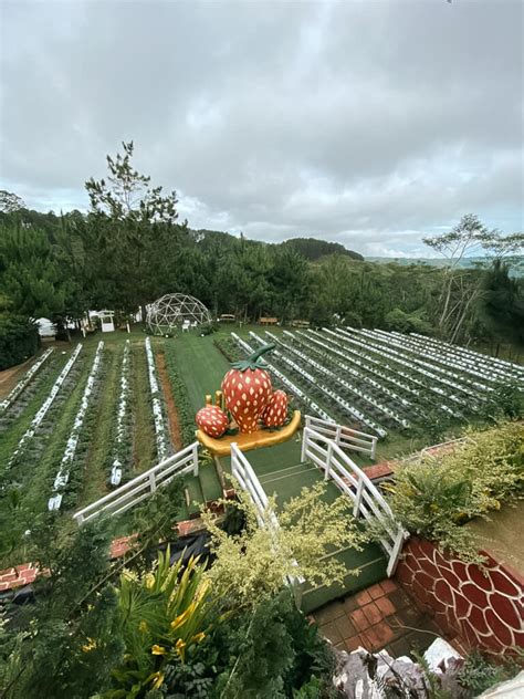 marilog tourist spot|taglucop strawberry hills.